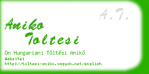 aniko toltesi business card
